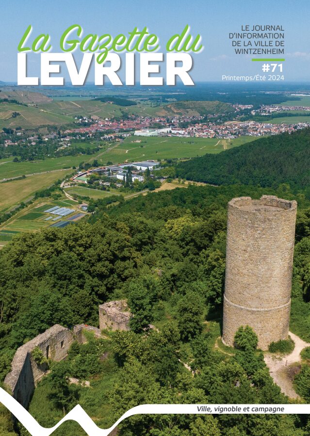 Gazette du Lévrier n°71